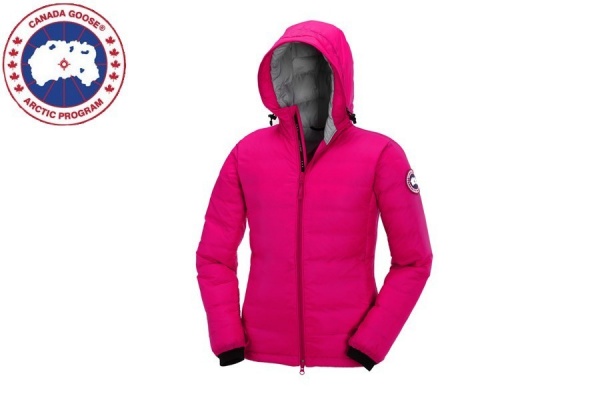 Ladies camp HOODY Ladies camp HOODY